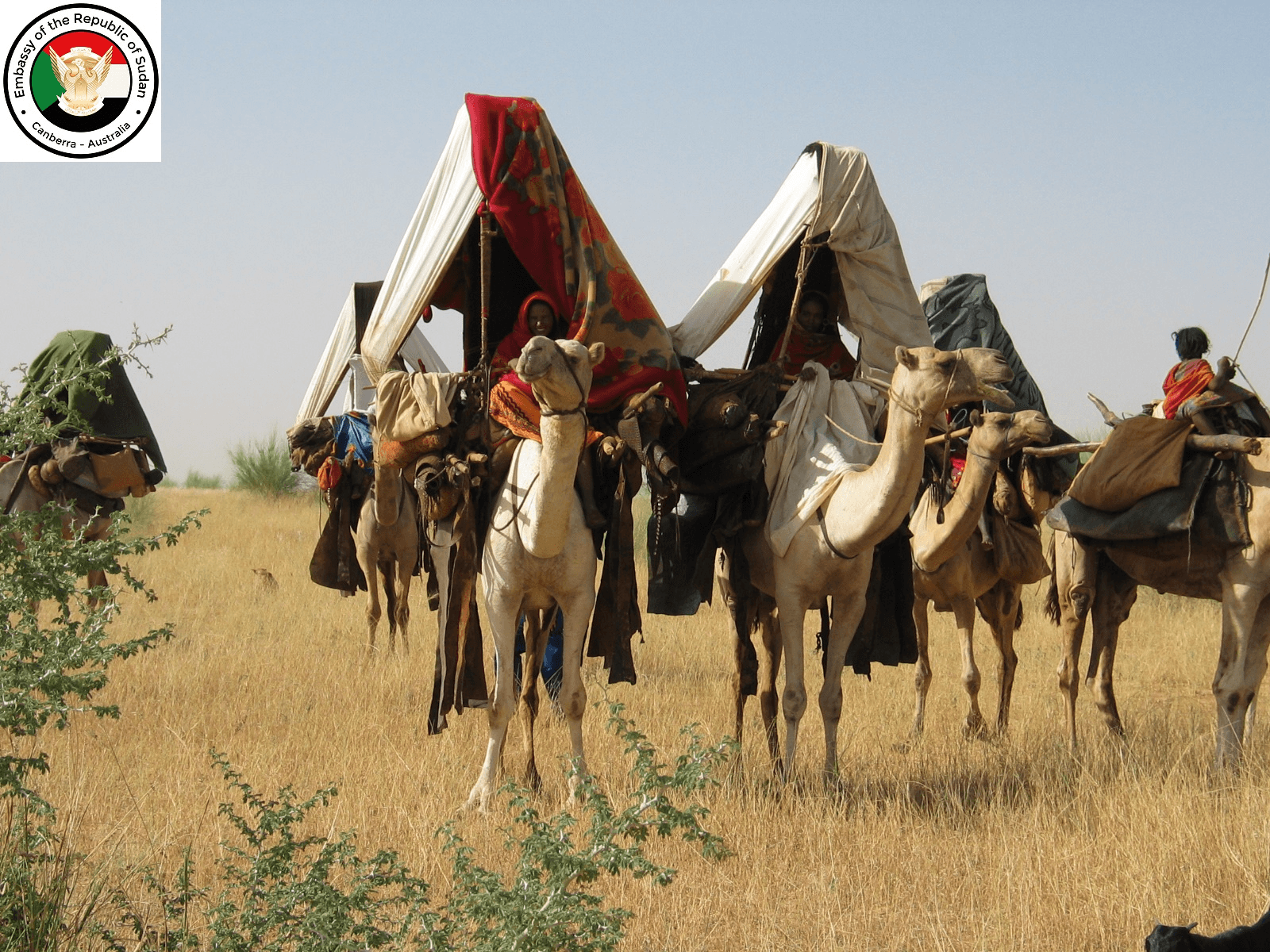السودان 5