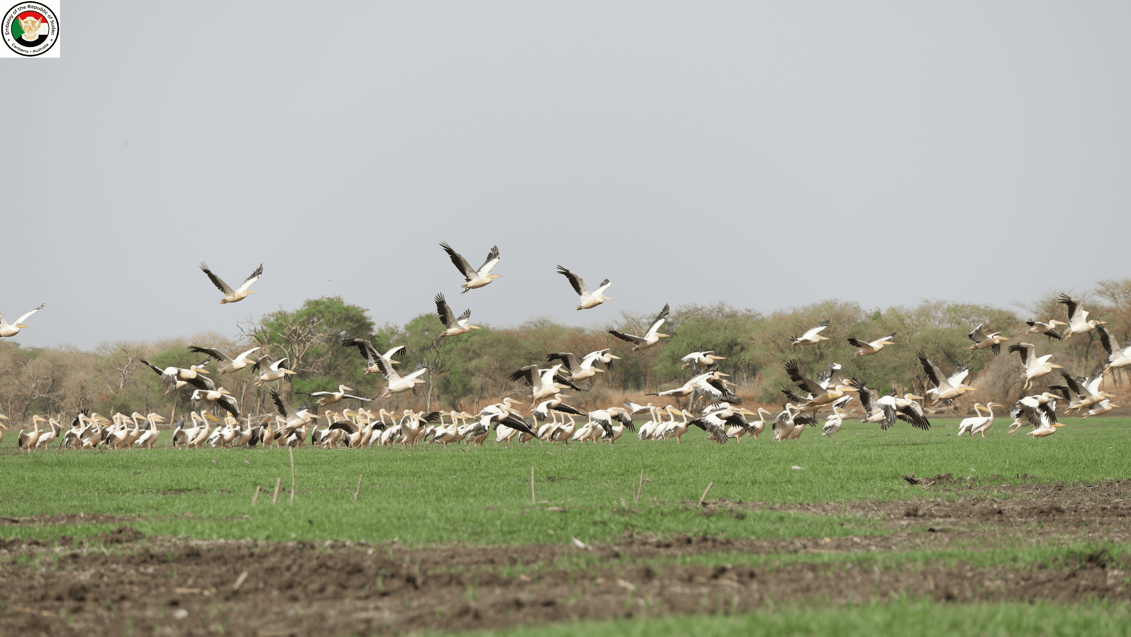 Sudan tourism gallery 31